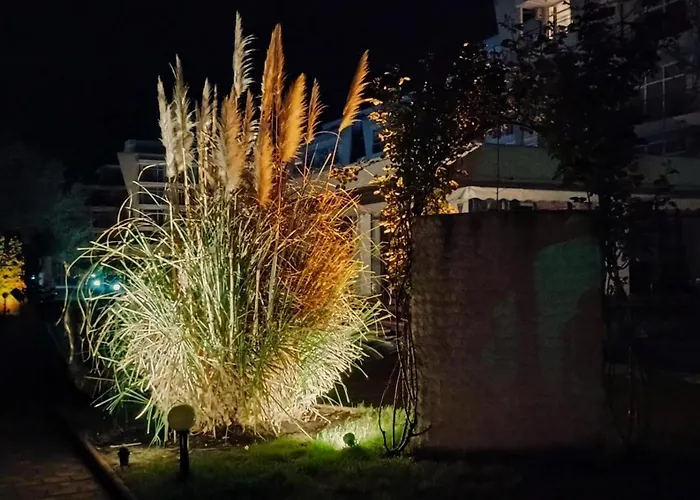 Amelia Slantschew brjag